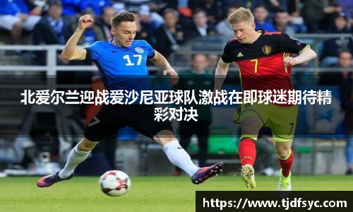 北爱尔兰迎战爱沙尼亚球队激战在即球迷期待精彩对决