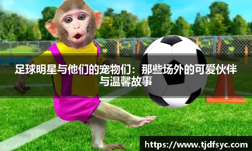 彩神vll首页