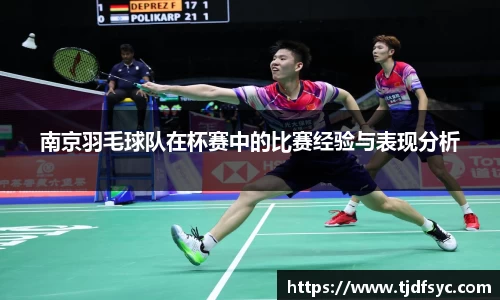 南京羽毛球队在杯赛中的比赛经验与表现分析