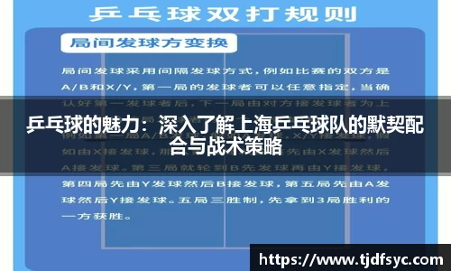 乒乓球的魅力：深入了解上海乒乓球队的默契配合与战术策略