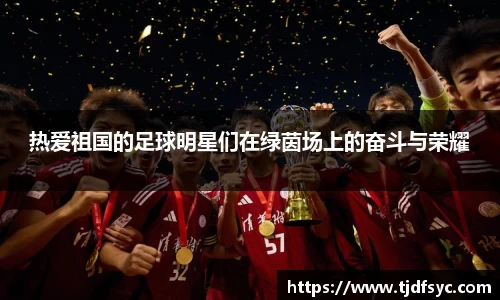 热爱祖国的足球明星们在绿茵场上的奋斗与荣耀